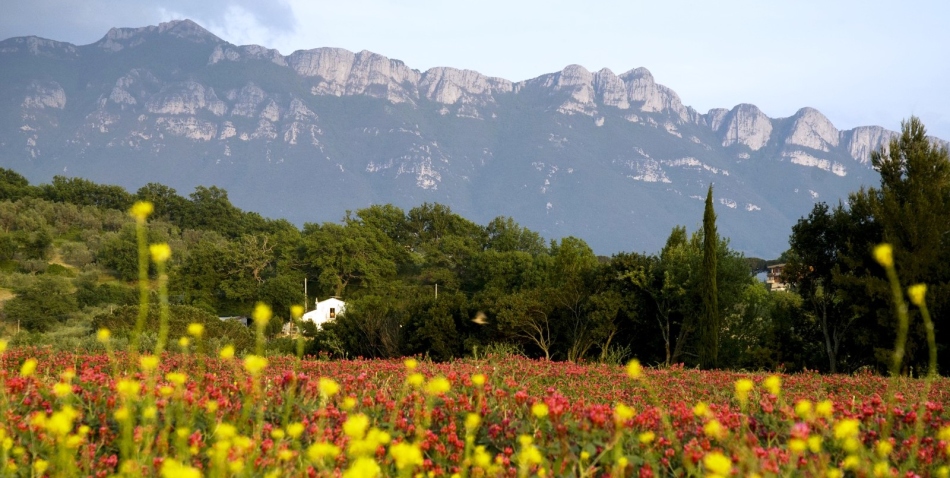 Monti Alburny à proximité de Salerne, en Italie,