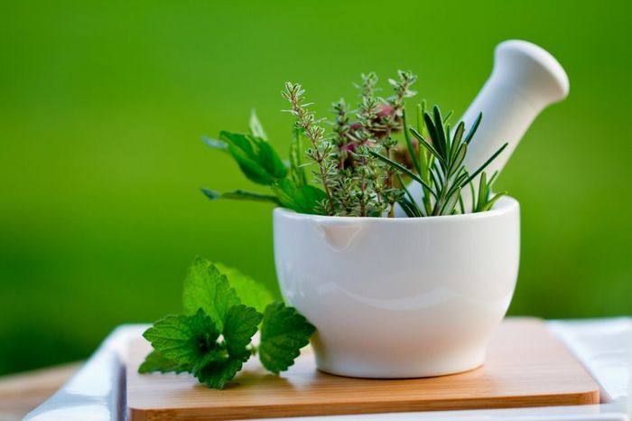 Treatment of infections with herbs