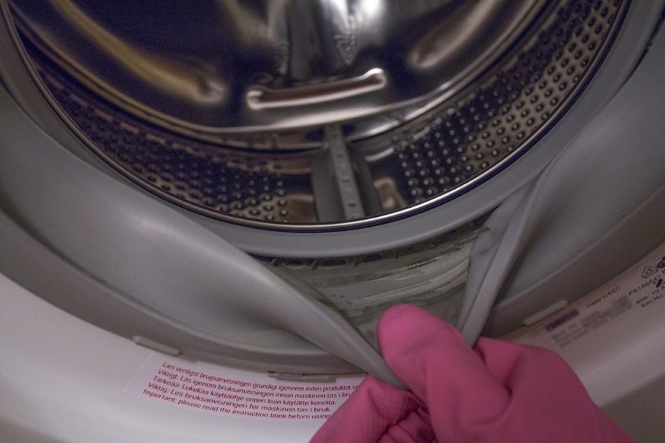 Elevings cleaning in washing machine