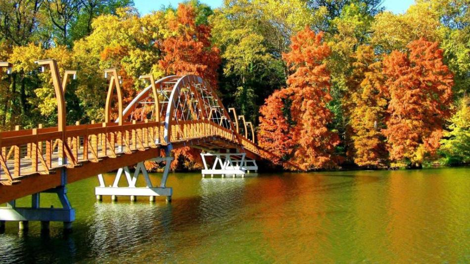 Warum träumen, stehen, gehen, gehen, die Brücke entlang gehen?