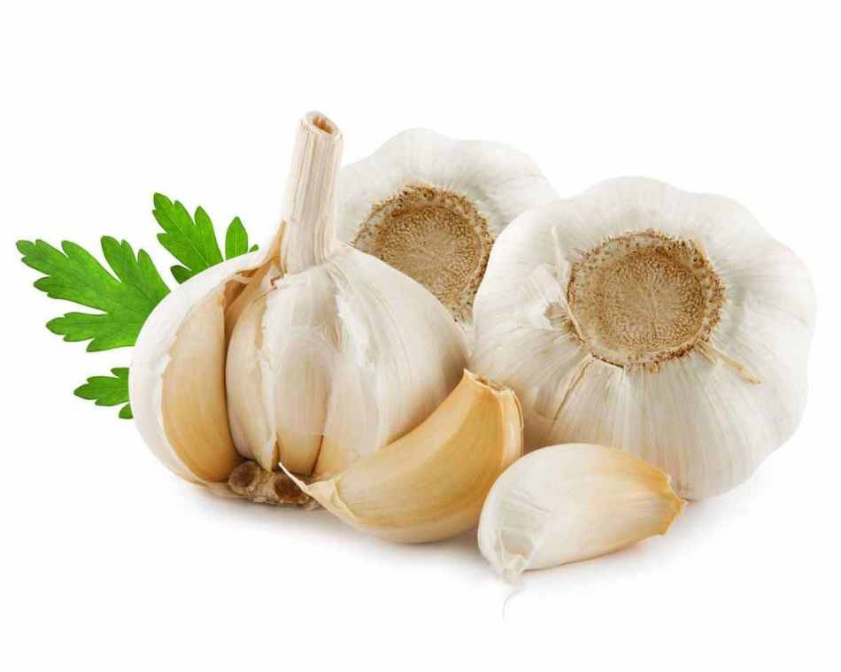 Garlic from worms for children
