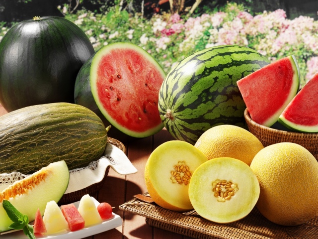 Är det möjligt att vara en ammande mamma på en vattenmelon? Kan en melon med amning är möjlig?