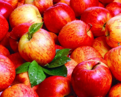 Az alma megfagyott az erkélyen: Lehet -e fagyasztott almát enni? Hogyan lehet használni a Frostbitten almát?