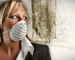L'odeur de l'humidité: causes, méthodes folkloriques d'élimination, pointes. Comment obtenir l'odeur de l'humidité dans l'appartement? Comment se débarrasser de l'odeur de l'humidité sur les meubles, dans une voiture?