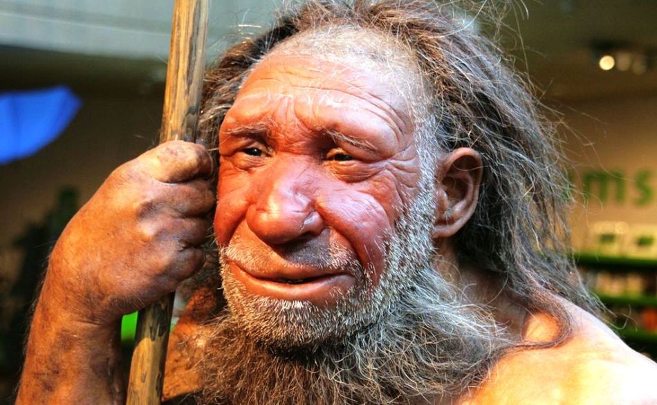 Neandertal Museum in Dusseldorf, Germany