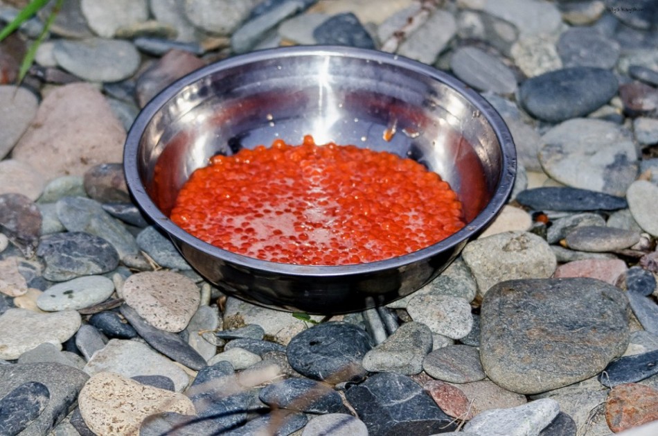 How to cook red caviar from pink salmon?