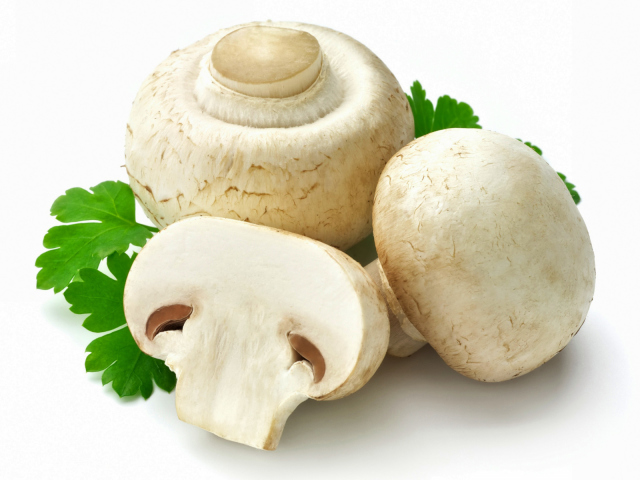 Is it possible to eat raw champignons in large quantities, every day - the benefits of the product and possible harm
