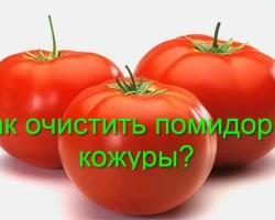 Koliko lako i brzo očistite rajčicu kućišta: 4 načina. Je li potrebno očistiti rajčicu od kože kad se jede, je li štetno ili korisno jesti rajčicu s korom?