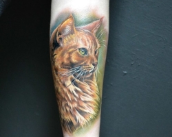 Apa arti tato kucing di tubuh: sejarah. Tangki kucing adalah nilainya di lingkungan kriminal. Tattoo for Men and Girls - Cat: Contoh, Foto, Sketsa, Video