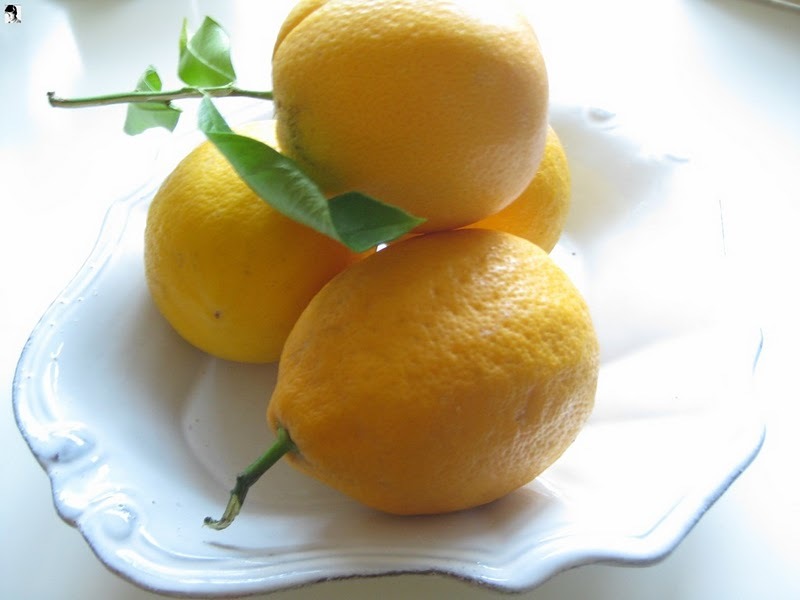 For a good yield of lemons, you need to fertilize the plant