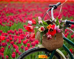 Munkák a tavaszról: Tavaszi természet, tavasz a városban, tavaszi táblák, tavaszi ünnepek