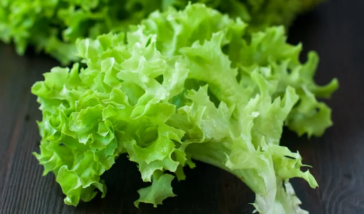 Salad Latuk: Produk yang mengurangi berat badan