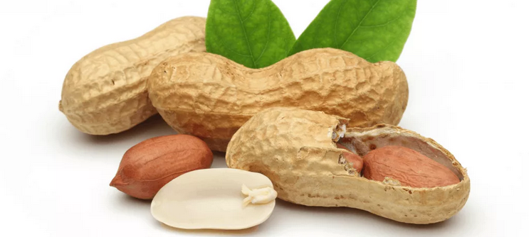 Nicotinic acid (vitamin B3, PP, niacin) is contained in the peanut