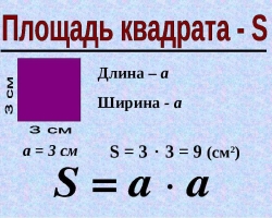 How to find a square area if the perimeter is known, diagonal? How to find the square of the square inscribed in the circle and described near the circumference: formula, examples of solving problems. How to find the side and diagonal of the square, if its area is known?