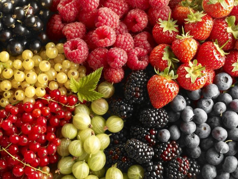 Berries - Cancer prevention