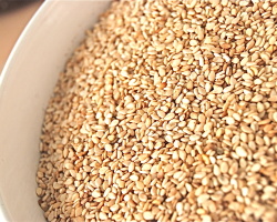 Sezamova semena: koristne in zdravilne lastnosti, vsebnost kalorij, kontraindikacije. Kako uporabiti sezamova semena za polnjenje telesa s kalcijam?