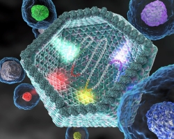 Le préjudice et les avantages des virus: les 10 meilleurs virus utiles pour l'homme