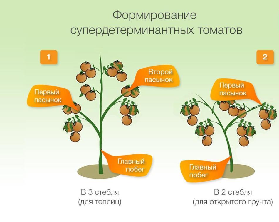 Формирование в 2 ствола