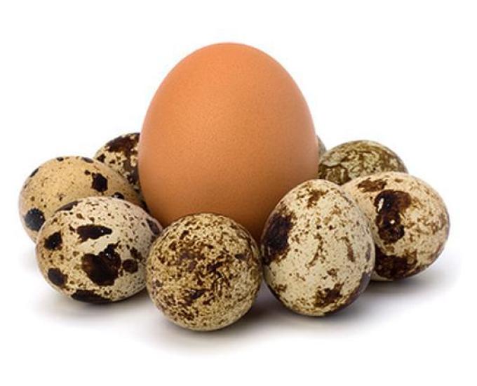 Combien de calories y a-t-il dans un œuf au plat dans l'huile de tournesol et dans les œufs brouillés de 2 œufs?