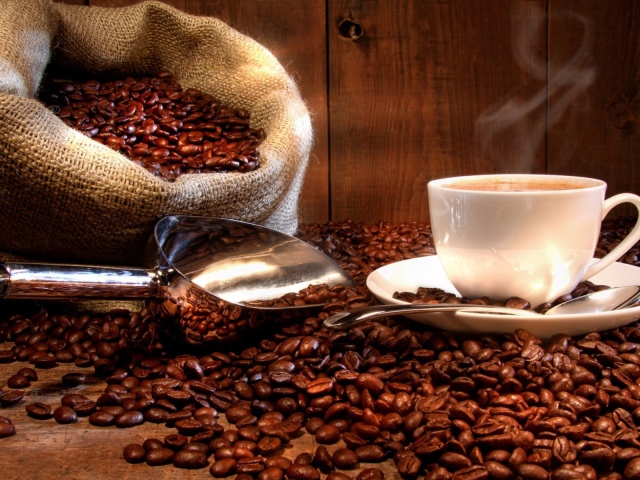 Which variety of coffee is better - in grains, ground, soluble: list, name, rating. How to choose good coffee in the store: Requirements for the quality of coffee