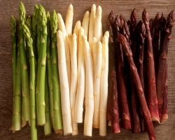 Est-il possible de manger des asperges crues - avantages et préjudices possibles. Que se passera-t-il s'il y a une asperge blanche brute?