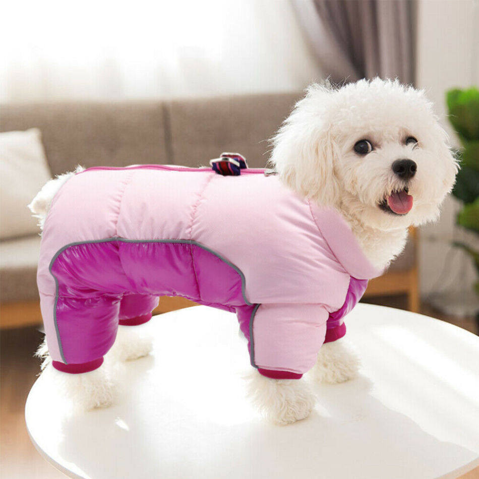 Winter overalls for dog dogs