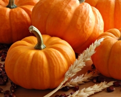 Contenido de calorías de calabaza cruda, hervida y horneada, cereales, platos de calabaza por 100 gramos: valor