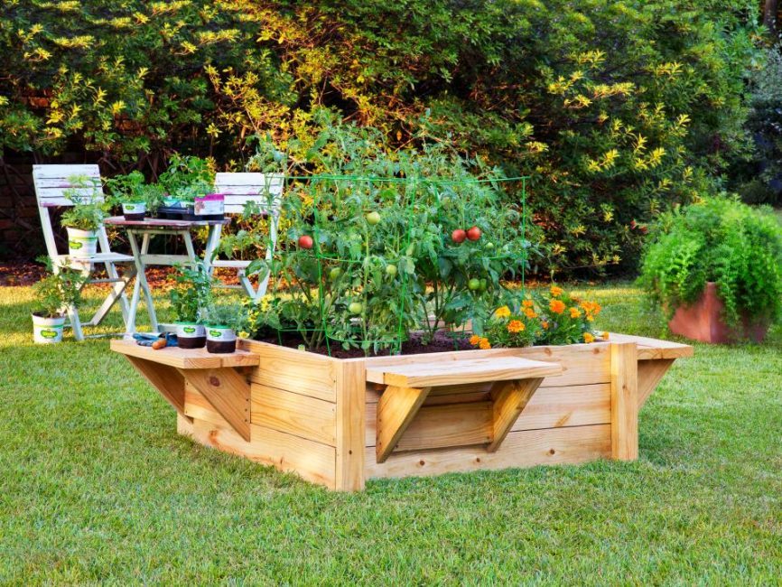 High bed with tomatoes