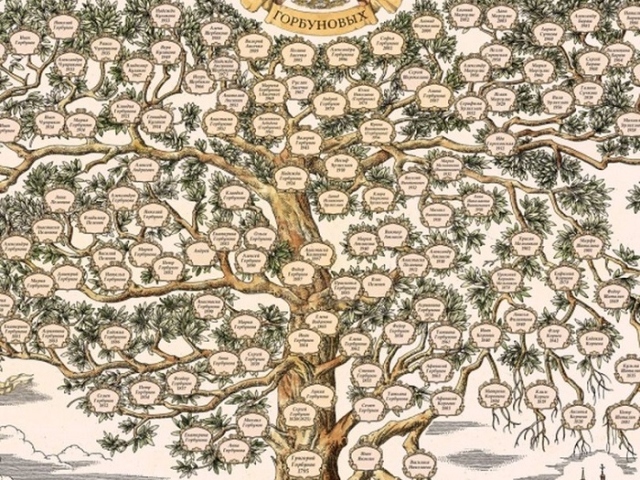 Albero genealogico - Come trovare le loro radici stesse: suggerimenti sulla ricerca negli archivi, come fare richieste, dove trovare libri della chiesa e altre fonti