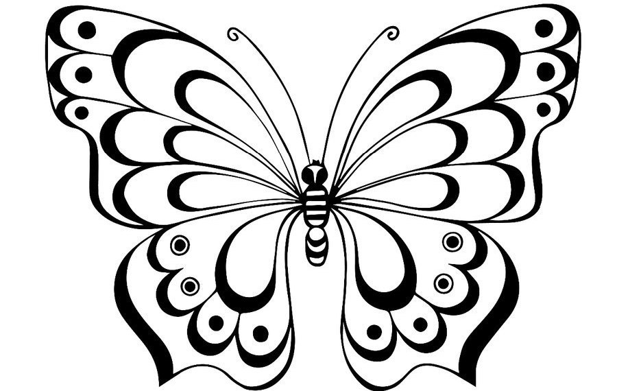 Butterfly template