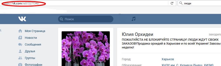 Comment trouver une personne à Vkontakte par lien?