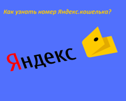 Как и где узнать номер счета своего кошелька Яндекс.Деньги?