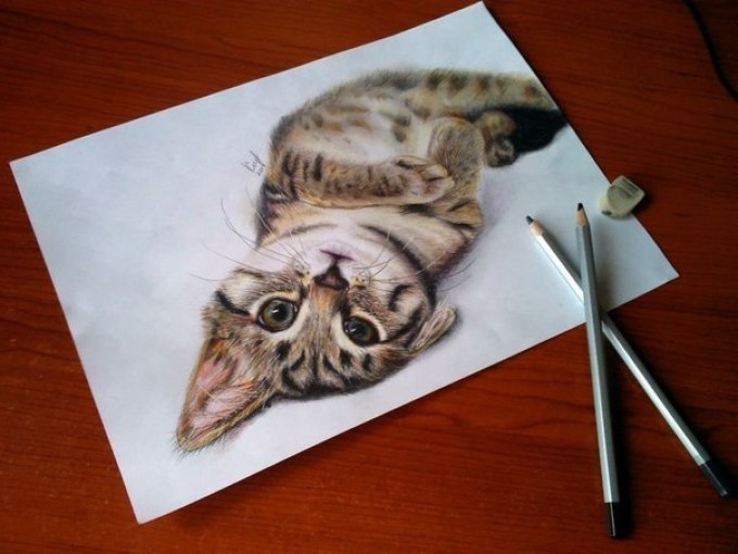 Рисунок кошки 3d