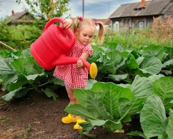 تقویم کاشت قمری باغبان و باغبان برای سال 2022 در اوکراین - روزهای مطلوب برای کاشت دانه ها ، کاشت نهال در زمین ، کاشت و برش توت فرنگی ، درختان میوه و درختچه ها: میز