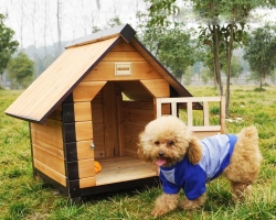 DIY DIY Booth για ένα σκυλί: Διαστάσεις, σχέδια, επιλογή υλικών, φωτογραφία