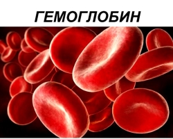 Ο κανόνας της αιμοσφαιρίνης στο αίμα σε γυναίκες και άνδρες μετά από 50 χρόνια. Αύξηση και μείωση της αιμοσφαιρίνης στο αίμα, τα κύρια συμπτώματα