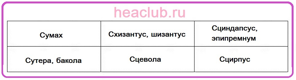 Названия цветов на "с" таблица