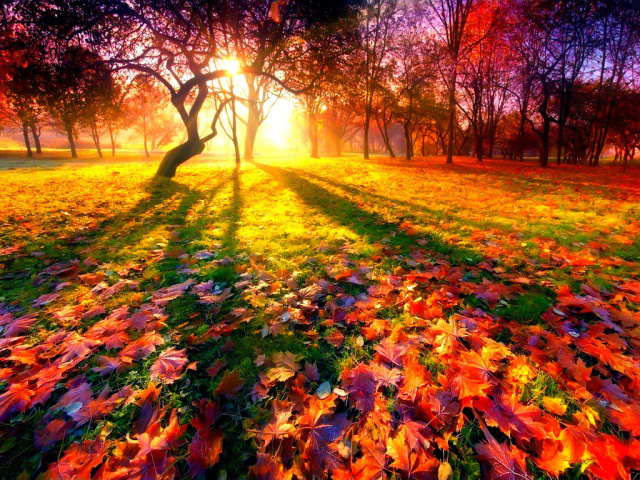 Сочинения об осени: прекрасное время года – осень, осенняя природа, осенний лес, осенние цветы, осенние приметы