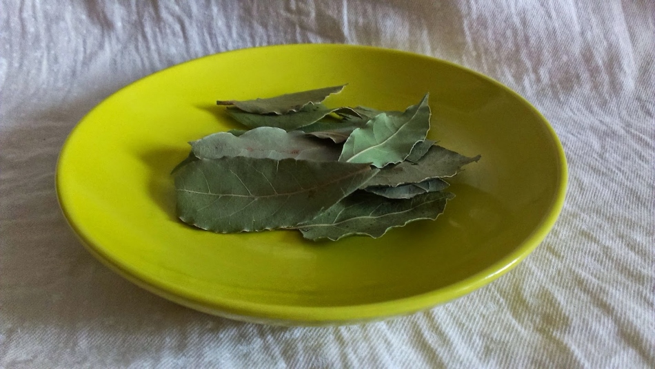 Можно при окуривании лавровым листом переложить растение в тарелку
