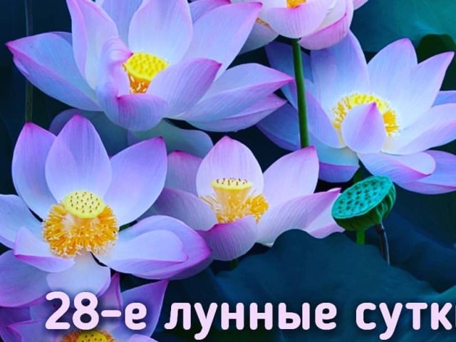 28 lunar day: full characteristic, haircut, beauty, wedding, birthday, interpretation of dreams, health - what can and what can not be done?