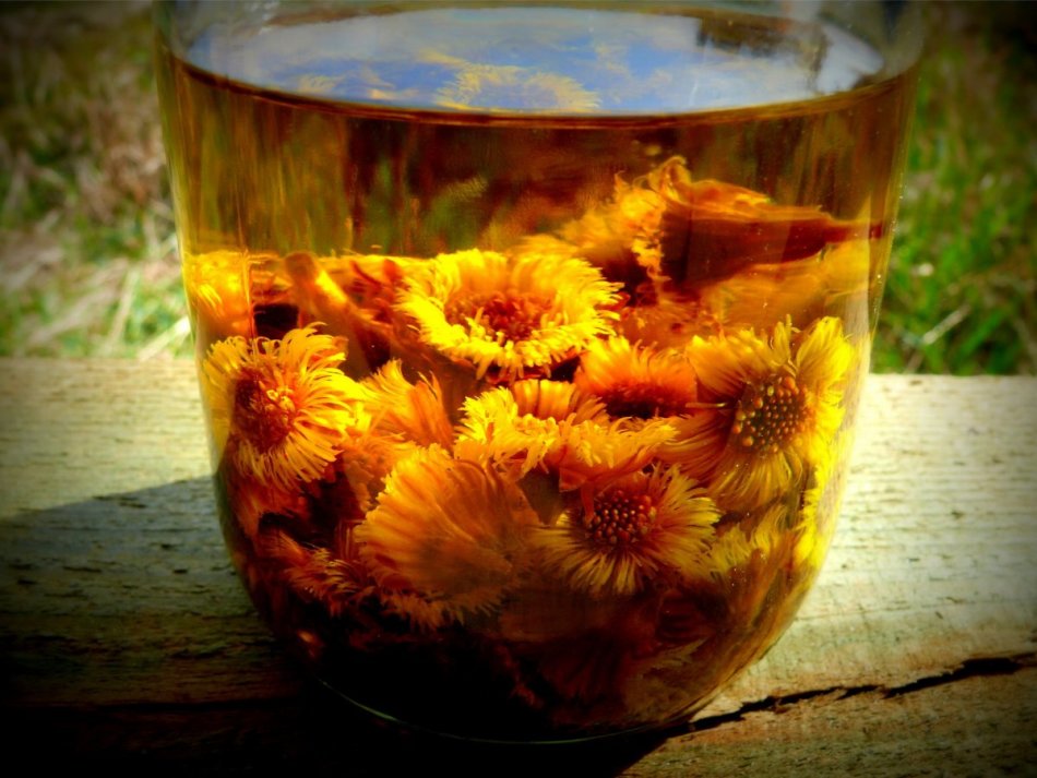 Lösung mit Coltsfoot abspülen