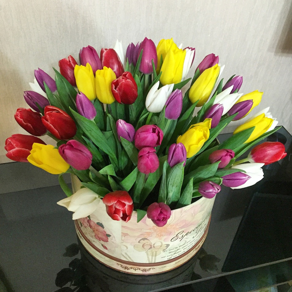 Škatla z več obarvanimi tulipani
