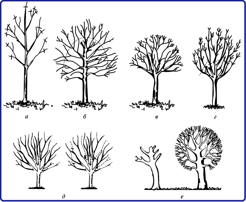 Cilji obloge sadnih dreves