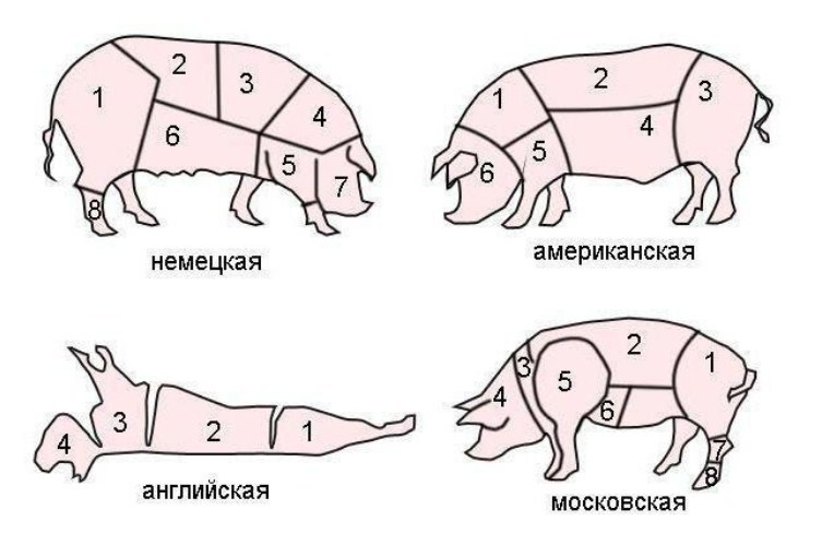 Rezanje trupa svinjskega trupa: diagram, fotografija