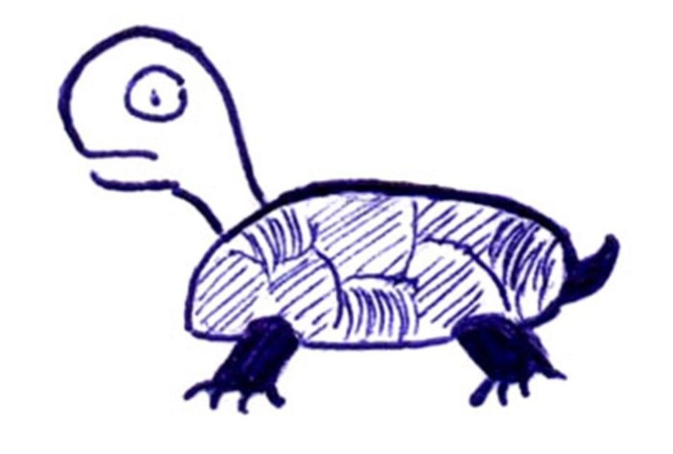 Otroška risba na želvo