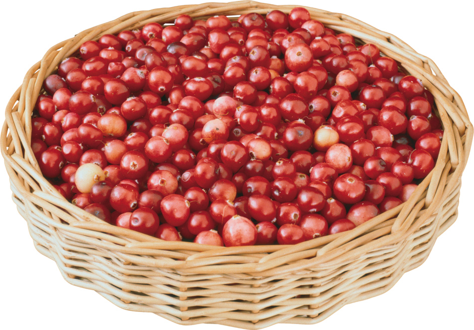 Cranberry dengan madu akan memenangkan stafilokokus emas