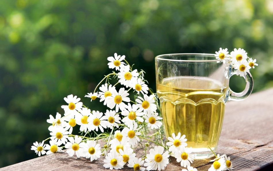 Rebusan chamomile akan membantu membersihkan telinga Anda secara kualitatif