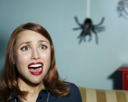 Why see the spider in the house, the apartment of the bathroom, in the kitchen, in the morning, in the evening, day, night, white, red, black, yellow, green, cross, dead, many spiders, kill the spider intentionally or inadvertently: signs