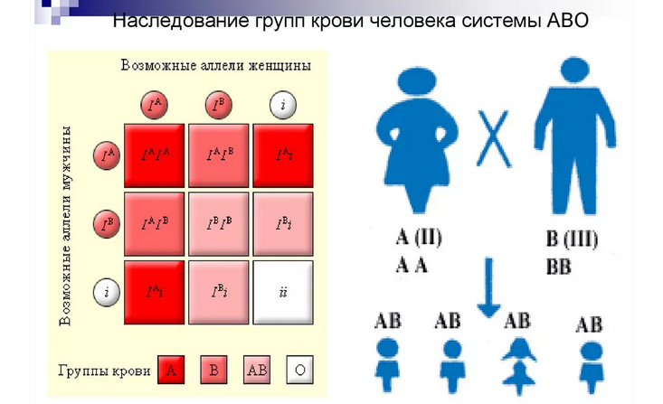 Совместимость групп крови родителей для зачатия ребенка