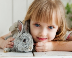 Kedvtelésből tartott állatok ajándékként - akár érdemes egy gyermeket adni: 10 érv ellen és ellen